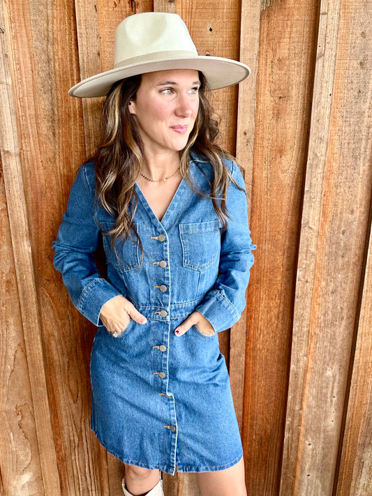 Denim Dress || WNW